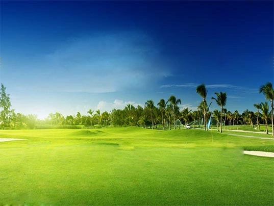 Golf Course Landscape